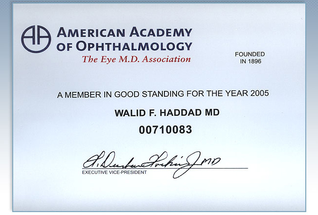 About – Dr. Walid Haddad
